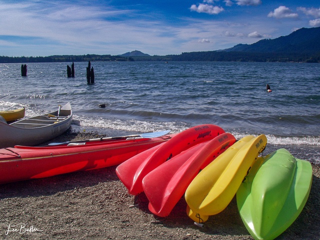 Lake Quinalt WA Kayaks
