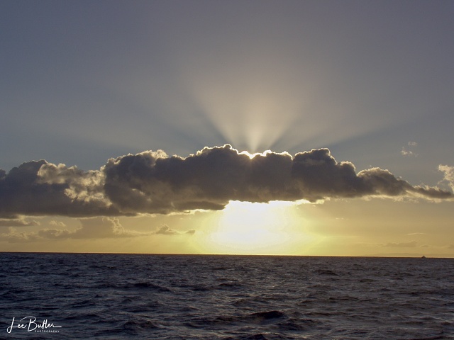 Godbeams In Kauai HA